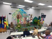 Call for CARAIFA to develop affordable regional products and services