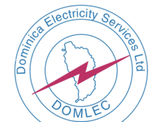 DOMLEC reports profits of 1.99 MILLION dollars for the financial year