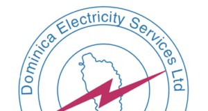 DOMLEC’s new general manager optimistic of the company’s future