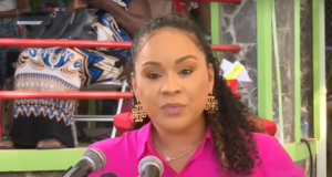 Melissa Skerrit Foundation provides school supplies to over 275 students