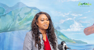 Dominica’s Tourism Minister is reporting a 12 percent increase in visitor arrivals for this year’s World Creole Music Festival