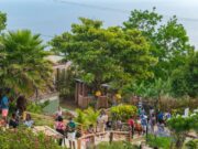 Art in the Flower Garden Exhibition set to open this month