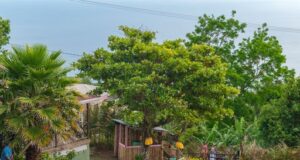 Art in the Flower Garden Exhibition set to open this month