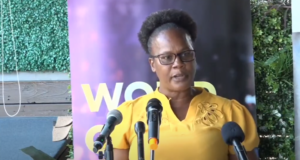 The Environment Health Department takes measures to mitigate against food borne illnesses during the Independence Season