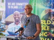 American Airlines will soon begin daily flights to Dominica