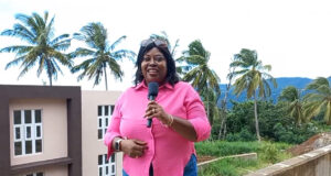 Phase One of the Eggleston Housing Project is nearing completion