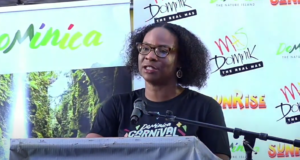 The 2025 carnival activities have officially been launched