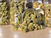 The police issues a warning to drug traffickers after burning a large quantity of cocaine and cannabis at Morne-Bruce this afternoon.