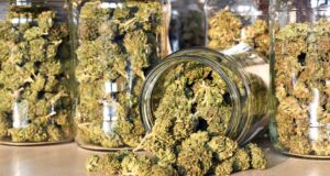 The police issues a warning to drug traffickers after burning a large quantity of cocaine and cannabis at Morne-Bruce this afternoon.