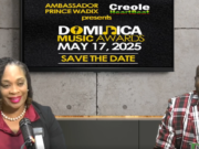 Planning for the 2025 World Creole Music Festival well underway