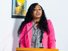Dominica’s tourism product showing encouraging signs, as visitor arrivals have increased-Tourism Minister