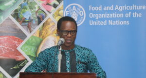 Dominica developing an Integrated Agriculture Land Use Plan