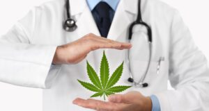Legislation for the establishment of a Medical Cannabis Industry for Dominica set to be put in place before the end of this year