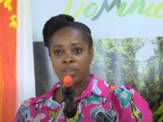 A new aspect being looked at to address transportation challenges for the 2025 Jazz and Creole Festival