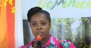 A new aspect being looked at to address transportation challenges for the 2025 Jazz and Creole Festival