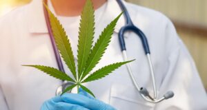 Dominica takes another step towards the development of a Medicinal Cannabis Industry