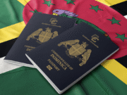 A local businessman has defended the Citizenship by Investment (CBI) Program