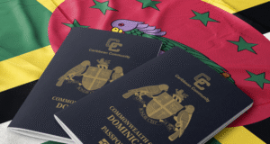 A local businessman has defended the Citizenship by Investment (CBI) Program