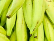 DEXIA reaches a trade milestone with the export of plantains to United States markets