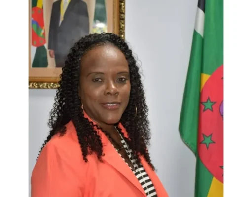 Government Allocates $100,000 to Each Village Council