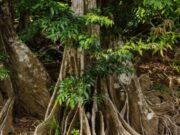 An over $190-thousand-dollar contract signed to upgrade the Indian River