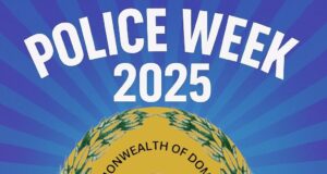 A parade in the streets of Laplaine is among the highlights of Police Week.