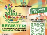 Close to 1OO vendors and businesses to be featured at this year’s T-Vilaj Kweyol.