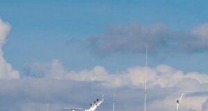 Ferry service to Dominica to resume this weekend