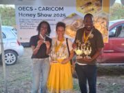 Dominica’s beekeepers cops 10 awards at the 2025 OECS honey show in St Kitts