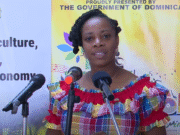 The 4th edition of Ti-Vilaj Kwéyòl has officially been launched