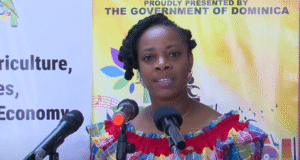 The 4th edition of Ti-Vilaj Kwéyòl has officially been launched