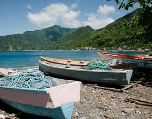 Dominica Observes World Fisheries Day with Focus on Small-Scale Fisheries and Blue Economy