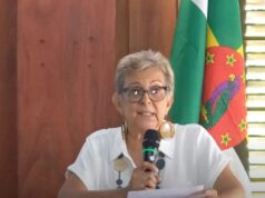 Delay in commissioning the Arawak House of culture is impacting negatively on the arts in Dominica-Anita Bully