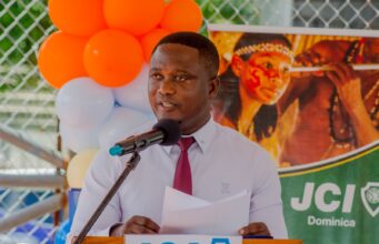 Windsor Park Stadium Lighting Upgrade Progresses as Key Equipment Set to Arrive in January