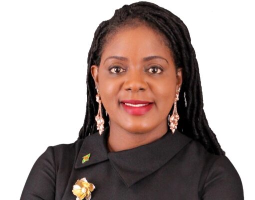 Opposition Senator Lorraine Henderson-Reid has called for a full revamp of the National Employment Program, the NEP.