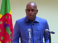 Prime Minister Roosevelt Skerrit addresses the issue of whether general elections can be called during the confirmation process