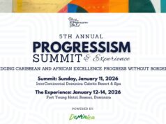 The 5th Annual Progressim Summit and Experience has been launched