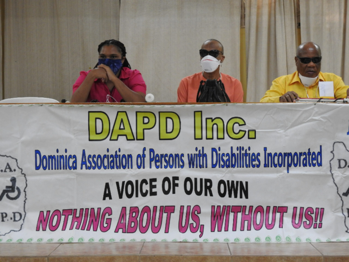 DAPD-meeting-696x522