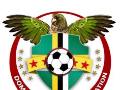 DFA Launches Investigation into Alleged Misconduct Involving National U-17 Girls Team