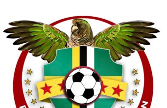 DFA Launches National Youth Academy to Boost Football Development