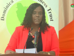 Minister Roberts Urges Young Entrepreneurs to Seize Opportunities in Major National Projects