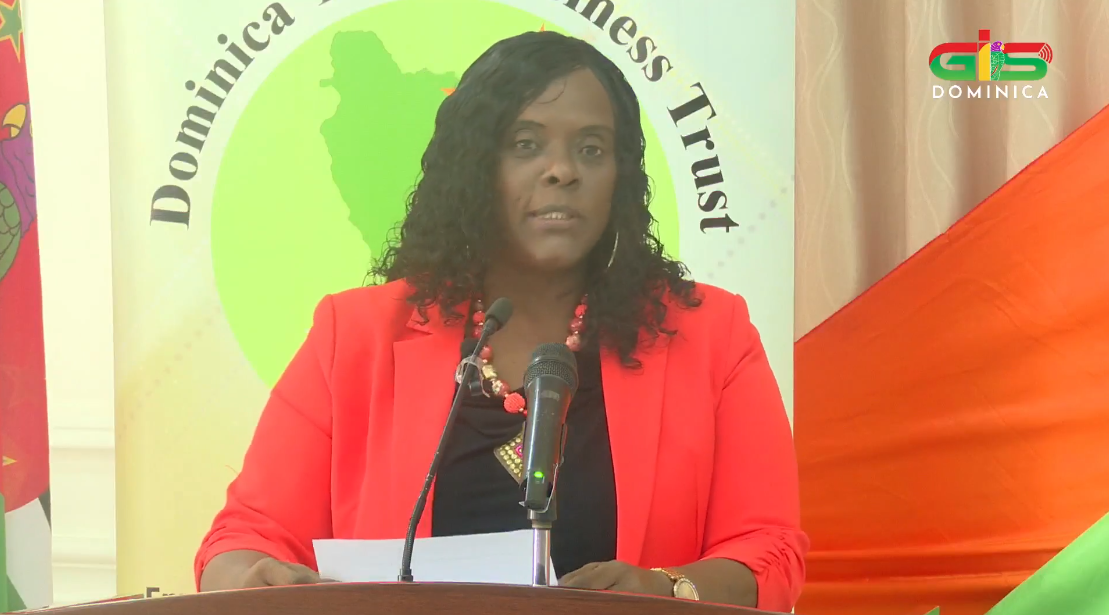 Minister Roberts Urges Young Entrepreneurs to Seize Opportunities in Major National Projects