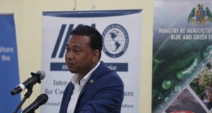 Dominica hosts Three Day OECS White Potatoes Symposium