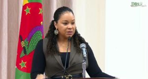 Dominica’s Housing Minister says close to 2 million dollars has been allocated to the Salisbury Constituency