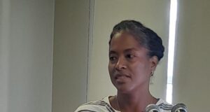 DHTA President says new site fees introduced by the government could impact Dominica’s cruise tourism.