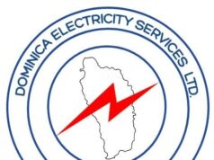 Effective February 1, DOMLEC will cease all no-disconnect days for Pay As You Go customers.