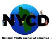A new executive for the National Youth Council of Dominica to be elected in the new year.