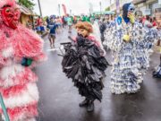 Minister for Tourism Denise Charles Pemberton expresses satisfaction with the regional and international response to Dominica’s carnival celebration this year.