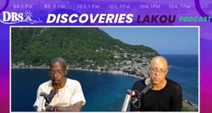 A prominent businessman has issued a call for Government to introduce new policies to encourage people abroad to make Dominica their home