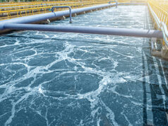 Prime Minister Roosevelt Skerrit stated that Dominica is in a position to supply water to St. Lucia and, by extension, the Caribbean region